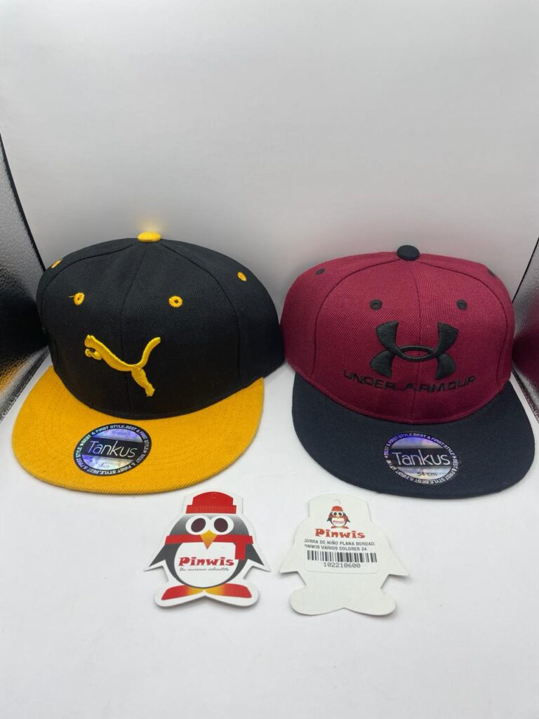 GORRA DE NIÑO PLANA BORDADA PINWIS VARIOS COLORES 24