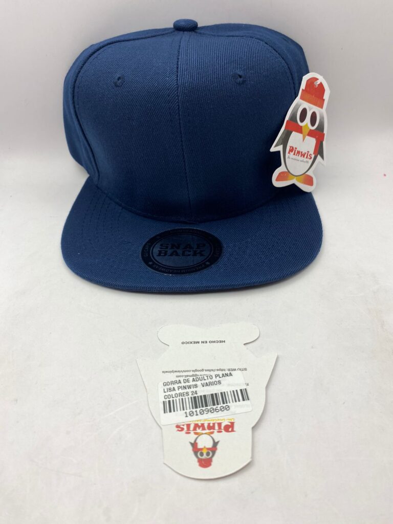 GORRA DE ADULTO PLANA LISA PINWIS VARIOS COLORES 24