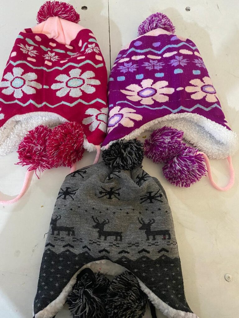 GORRO DE DAMA PERUANO PINWIS VARIOS COLORES 24